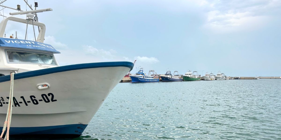 Notícies la Ràpita