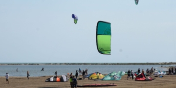 Notícies Delta de l'Ebre