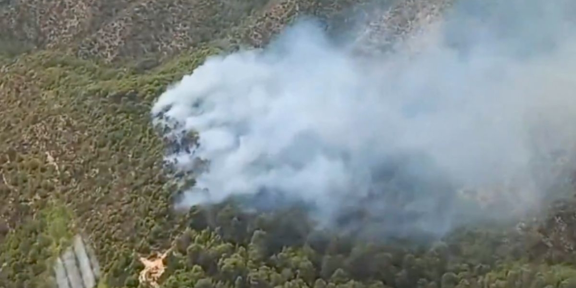 Notícies Riba-roja d'Ebre