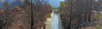Notícies Terres de l'Ebre
