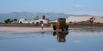 Notícies Delta Ebre