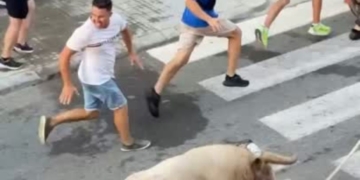 noticies terres de l'ebre