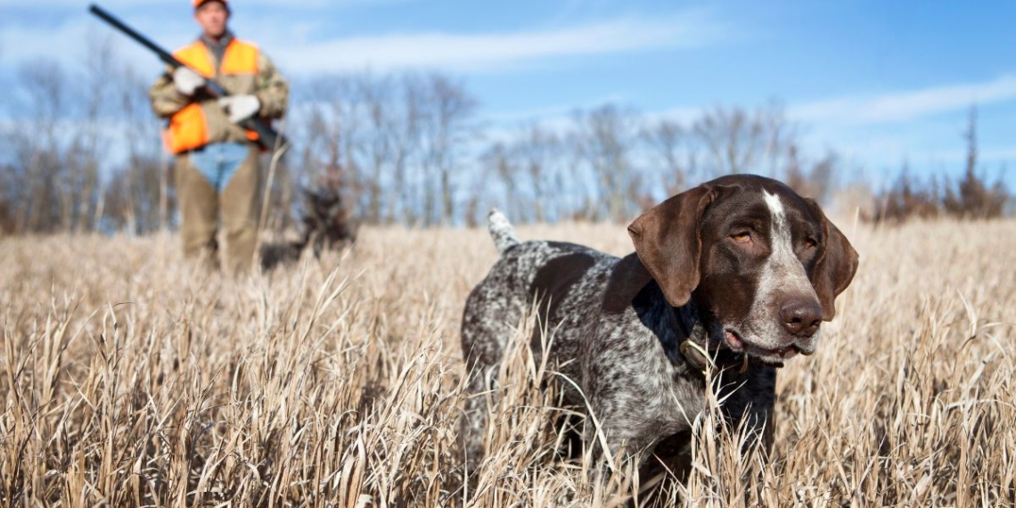 noticies terres de l'ebre