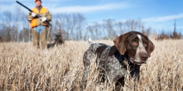 noticies terres de l'ebre