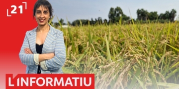 televisio terres de l'ebre