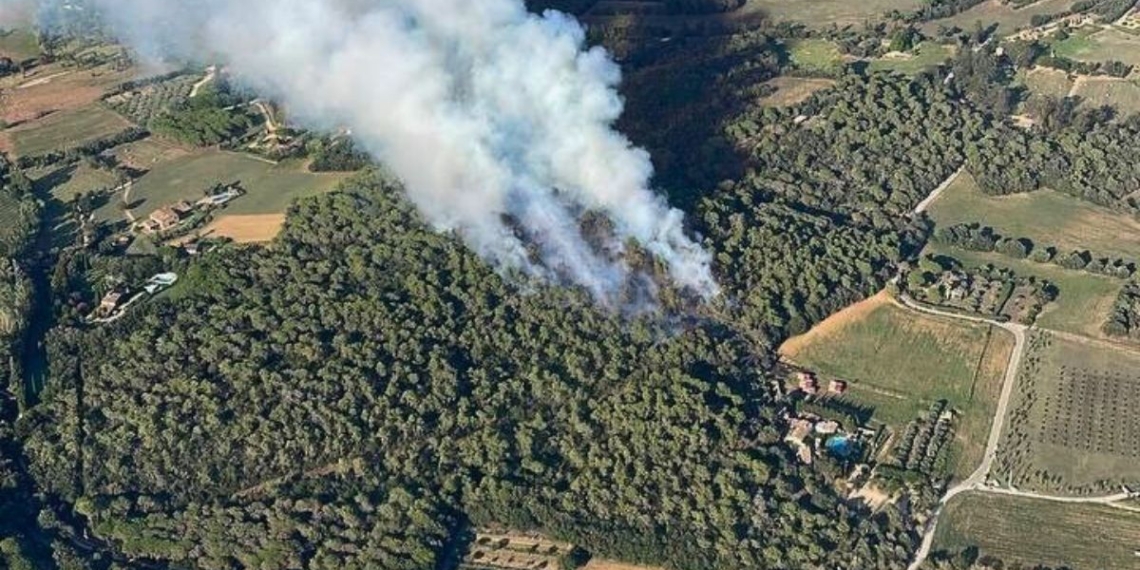 notícia de catalunya