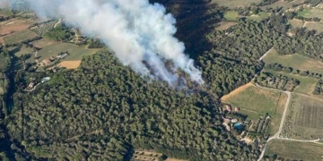 notícia de catalunya