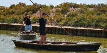 notícies Delta de l’Ebre