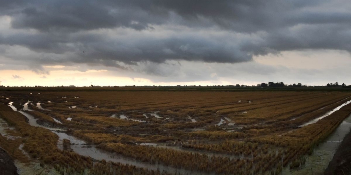 Notícies Terres de l'Ebre
