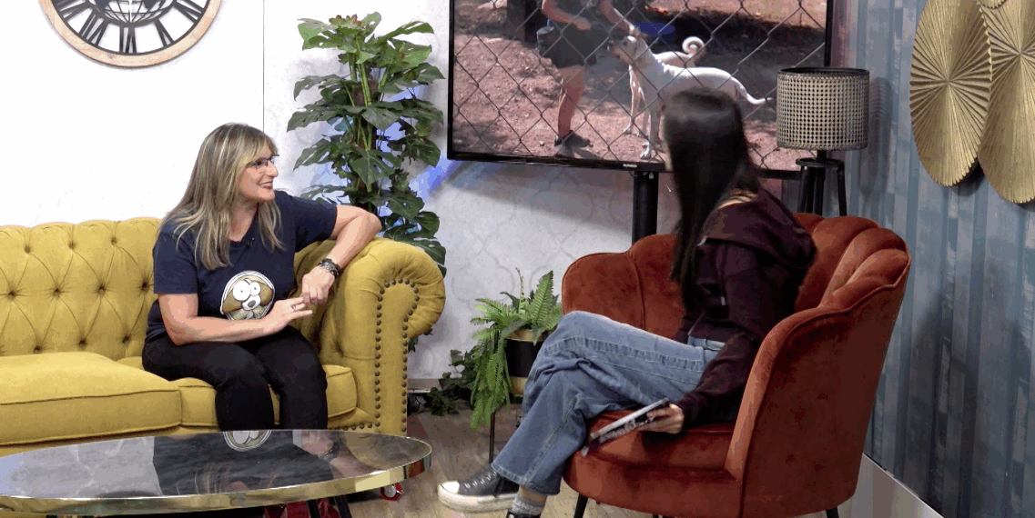 Televisió Terres de l'Ebre