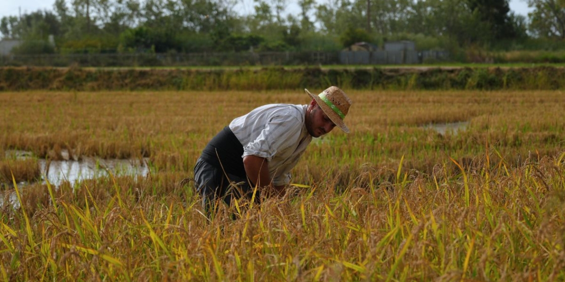 Notícies Sega Delta