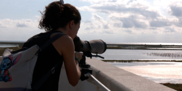 El Delta Birding Festival es reafirma com a cita internacional de referència a les Terres de l’Ebre