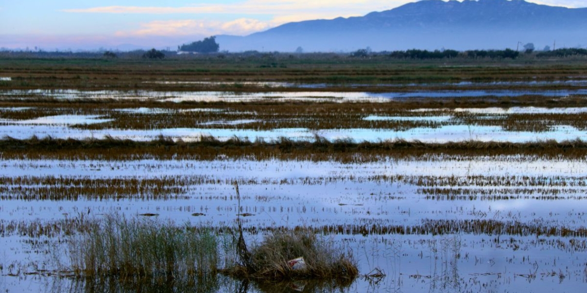notícies Delta de l'Ebre
