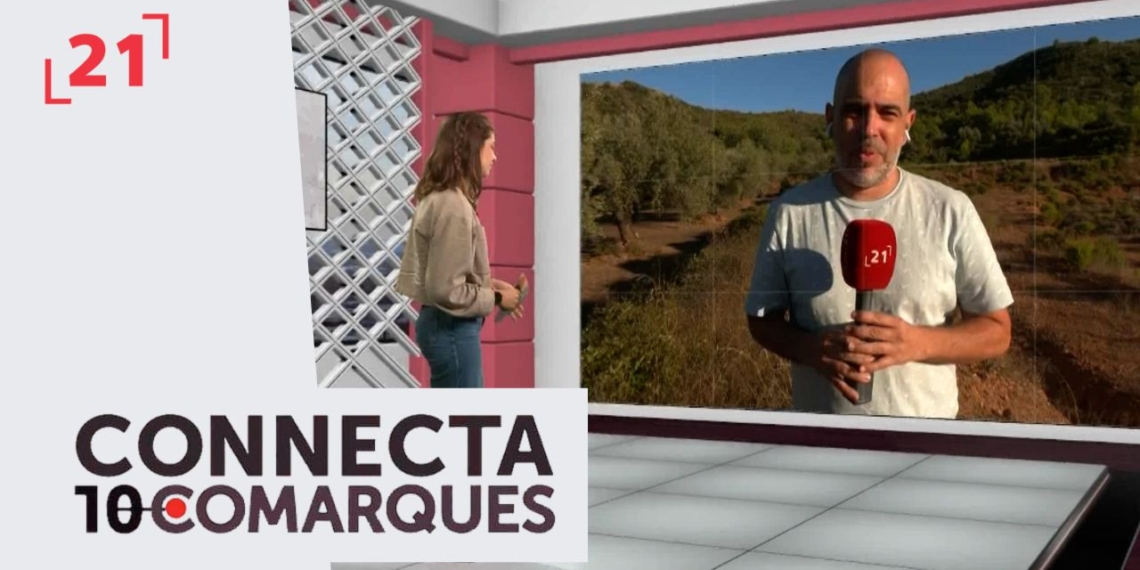 Ecologistes s’oposen al projecte d’ampliació d’una pedrera a Ulldecona