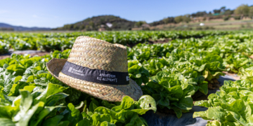 “Aprofitem els aliments”: menys malbaratar, més aprofitar