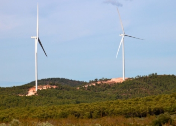 notícies El Perelló