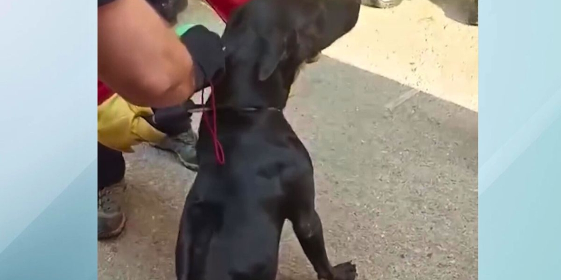 última hora terres de l'ebre