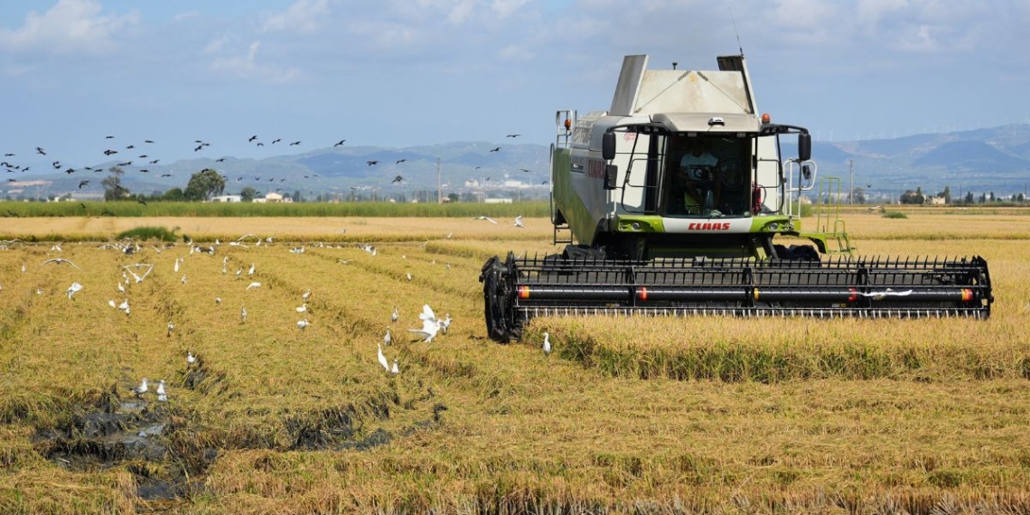 terres de l'ebre noticies