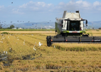 terres de l'ebre noticies