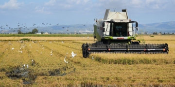 terres de l'ebre noticies