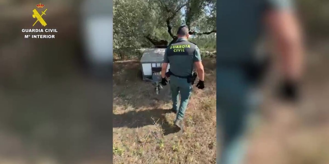 última hora Montsià