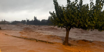 Noticies Terres de l'Ebre