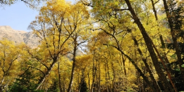 La Generalitat accelera la transformació verda amb una injecció econòmica de 269 milions a la bioeconomia de Catalunya