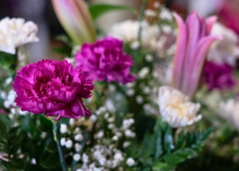 notícies Tots Sants