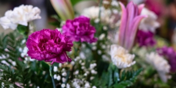 notícies Tots Sants