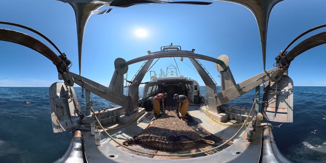 La Ràpita Notícies