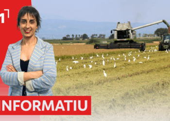 L’Informatiu (30/10/2025)