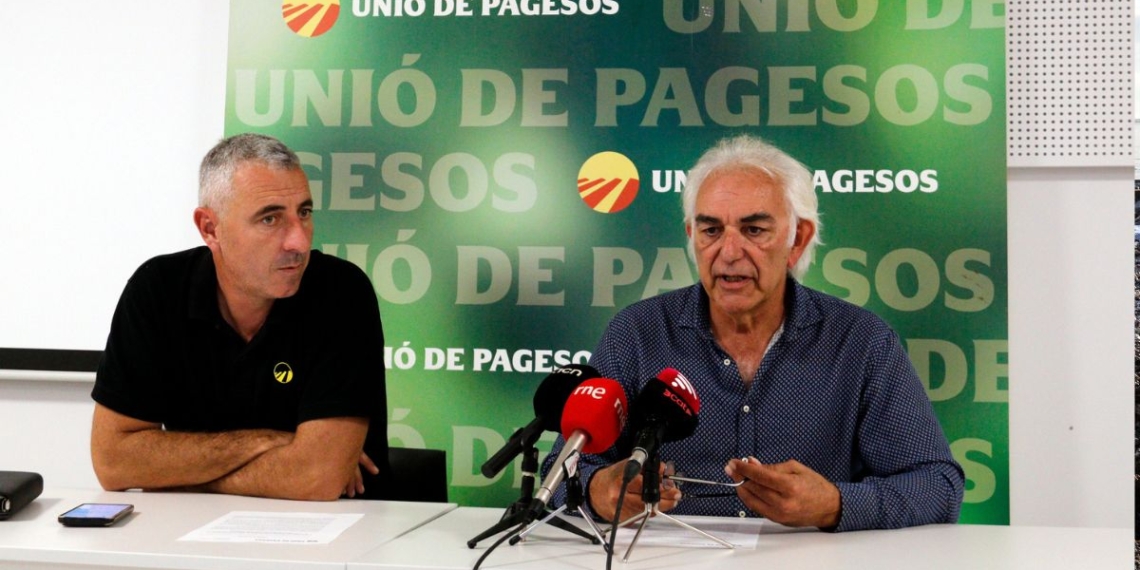 Unió de Pagesos acusa la gran distribució de la caiguda del preu de la fruita en un any amb menys collita per la pedra i malalties