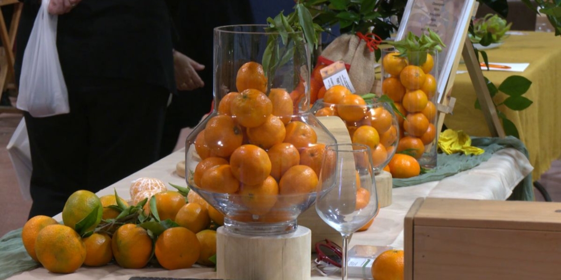 L’Expocítric reuneix més de 50 expositors per reivindicar la joia gastronòmica d’Alcanar