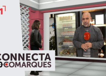 Campanya díficil dels apicultors amb una disminució de la producció de mel