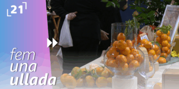 Fira Expocítric d’Alcanar