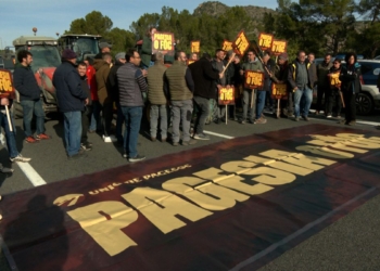 Unió de Pagesos reclama accions urgents amb un nou tall de la carretera C-12 a Xerta