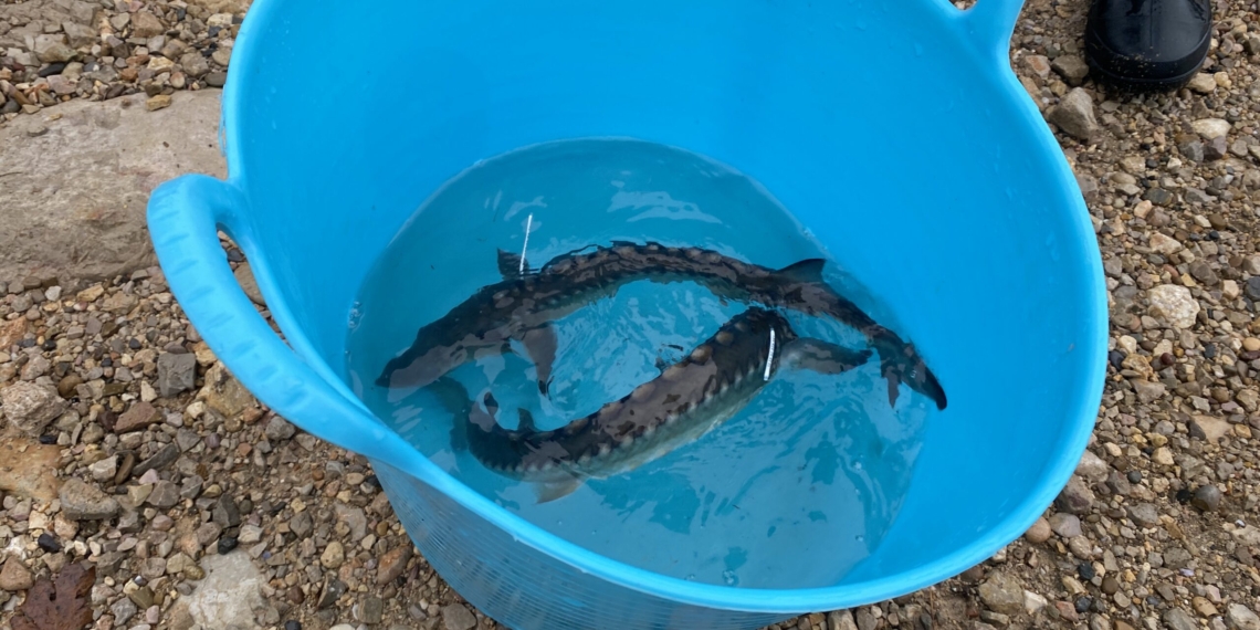 Recepció de l’Ajuntament d’Alcanar a Íker Garcia, campió del Mundial Júnior GP