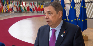 quotes de pesca Mediterrani