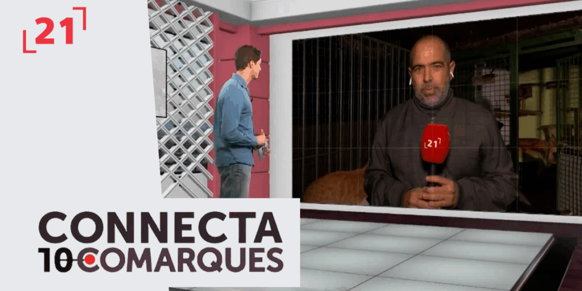 Amposta gestiona de manera ètica les colònies felines