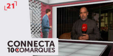 Amposta gestiona de manera ètica les colònies felines