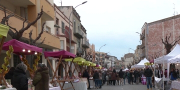 noticies mora la nova