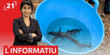 L’Informatiu (17/12/2025)