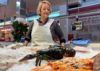 notícies mercat de tortosa