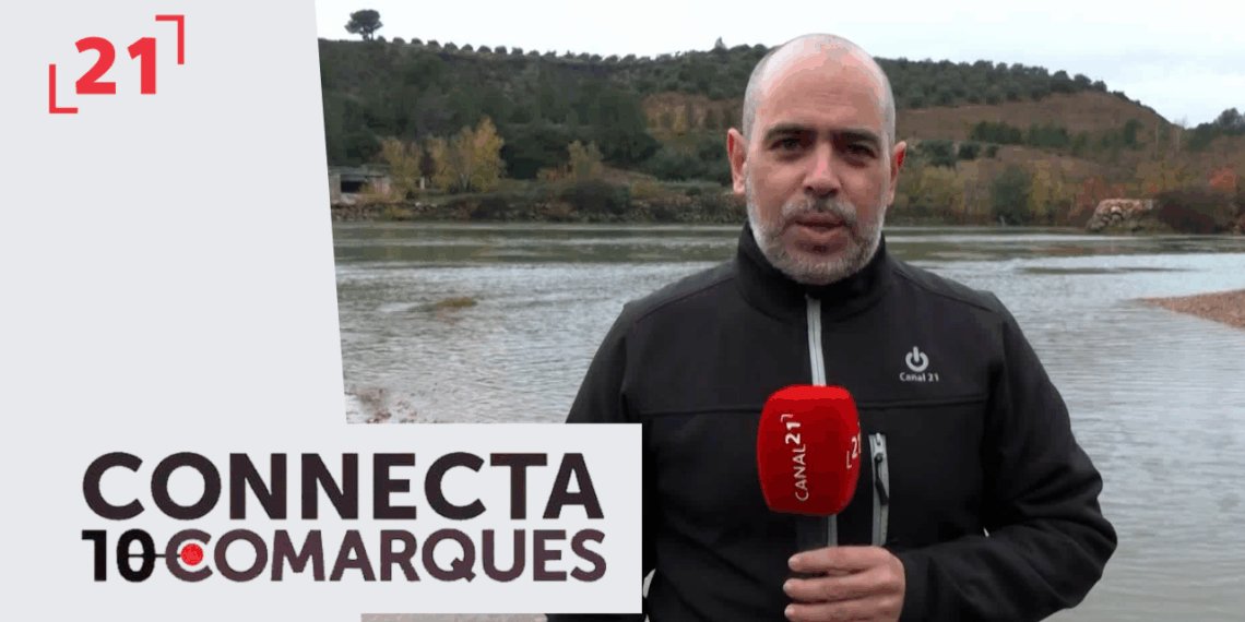 Alliberament d’esturions al riu Ebre