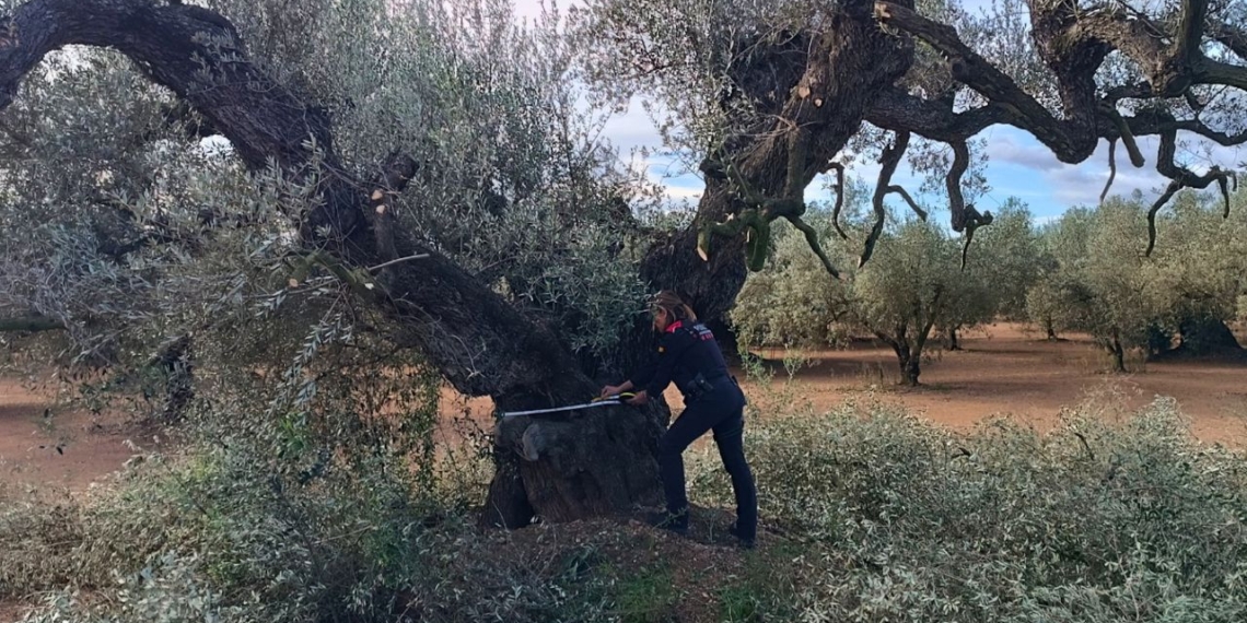 noticies Santa Bàrbara