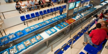 notícies Peix de llotja