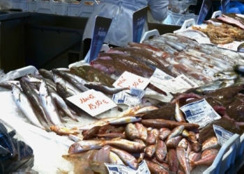 noticies mercat tortosa