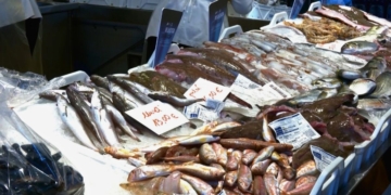 noticies mercat tortosa