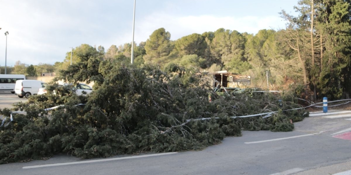 Fortes ratxes de vent freguen els 140 km/h al Montsià i el Baix Ebre