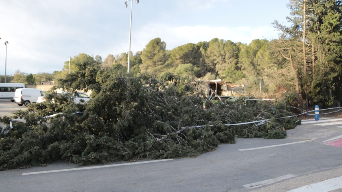 Fortes ratxes de vent freguen els els 140 km/h al Montsià i el Baix Ebre